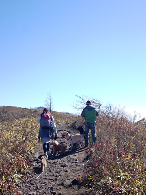 f0289824_18151076.jpg