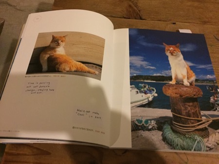 Ochunちゃん、Parisへ旅立ちます_a0284626_14515088.jpg
