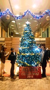 c0109726_1426146.jpg