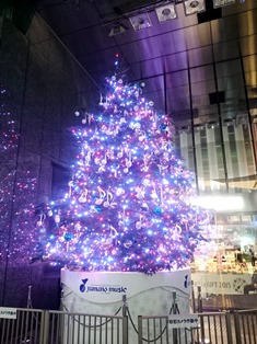 c0109726_1427670.jpg