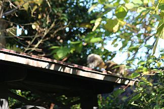 e0108126_20444689.jpg
