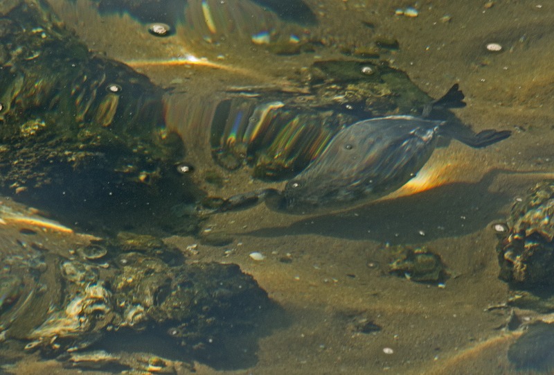 e0331427_9214730.jpg