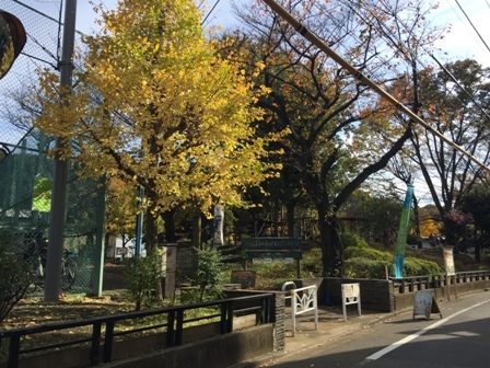 代々木上原から原宿まで歩く ２ 代々木公園 散歩ガイド