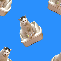 がにまた壁紙_a0028451_19031622.png