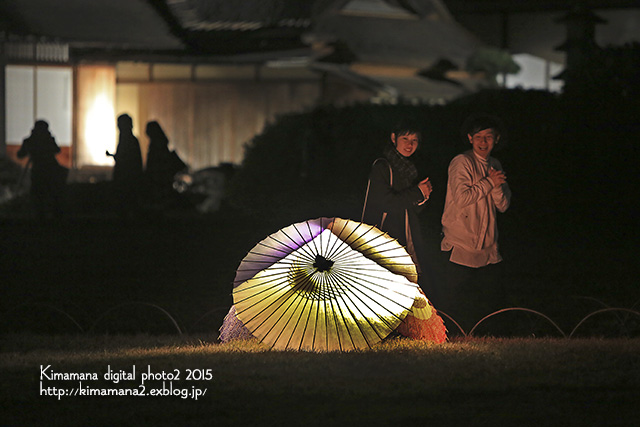 秋の幻想庭園　2015-最終日 「後楽園」_f0324756_9305210.jpg