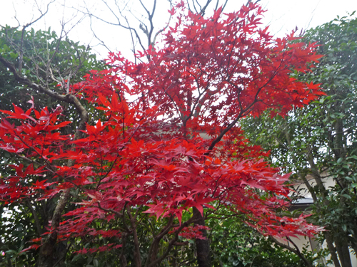 b0045357_932523.jpg