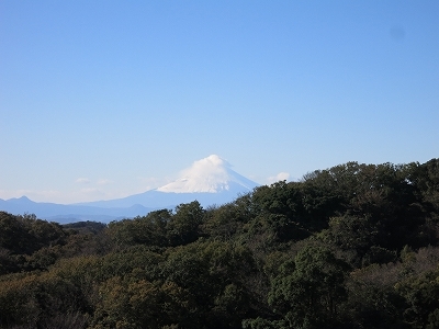 e0170558_00115517.jpg