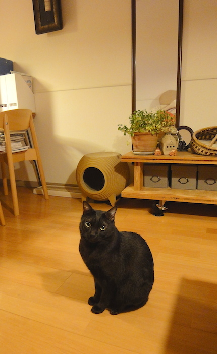 f0054859_1253146.jpg