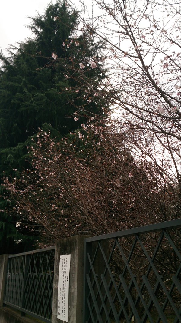 c0002171_2204252.jpg