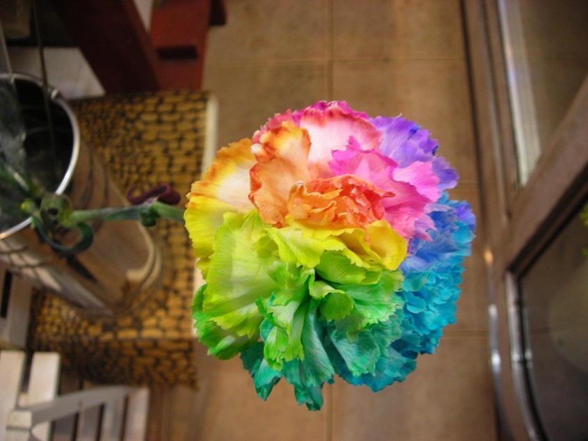ありがとう そんな感謝の一言から レインボーカーネーションの花言葉 誕生日や記念日の花を贈る人限定 好きな人との関係性のための難波なんばの花屋 Flowersalonosamu