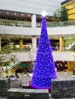 f0159480_93845.jpg