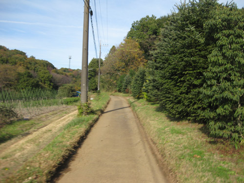 b0144082_202442.jpg