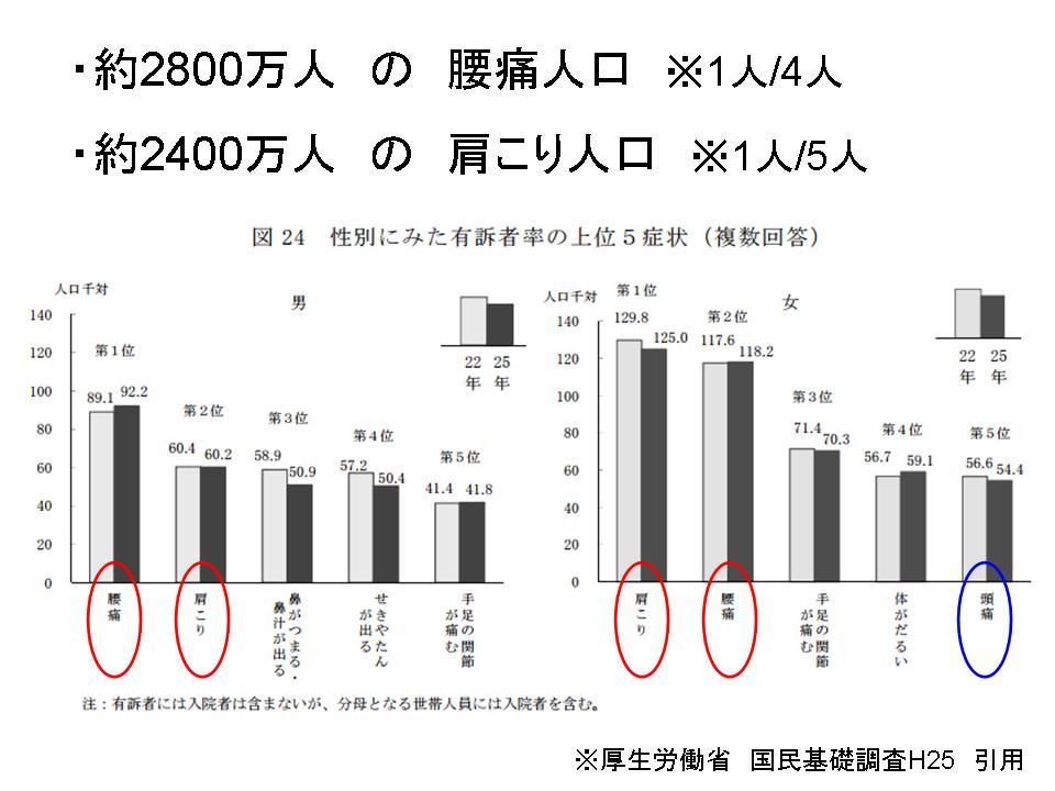 腰痛を自分で改善させる方法②（腰を反ると痛い方へ･･･）_c0362789_10144162.jpg