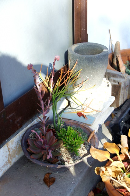 e0177190_21382124.jpg