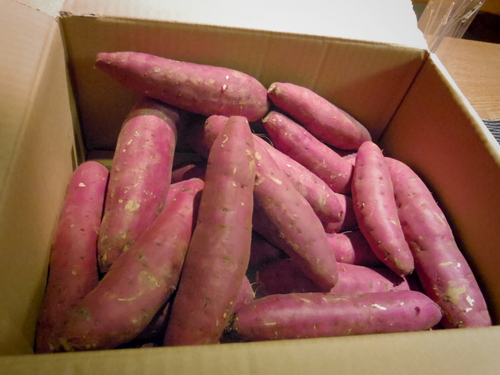 冬の十三里 大襲撃_d0087595_22182471.jpg