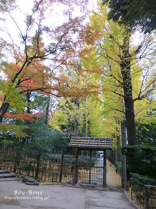  大田黒公園紅葉下見その3_d0128697_235467.jpg