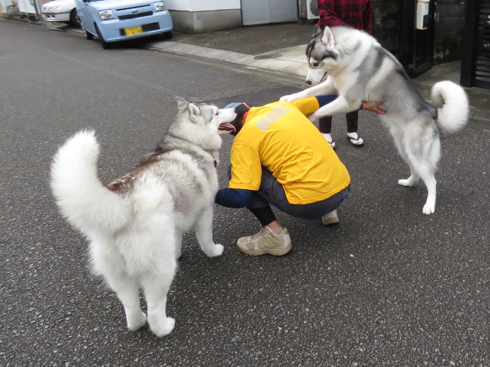 もはや恒例行事に (^o^)_c0049299_2212594.jpg