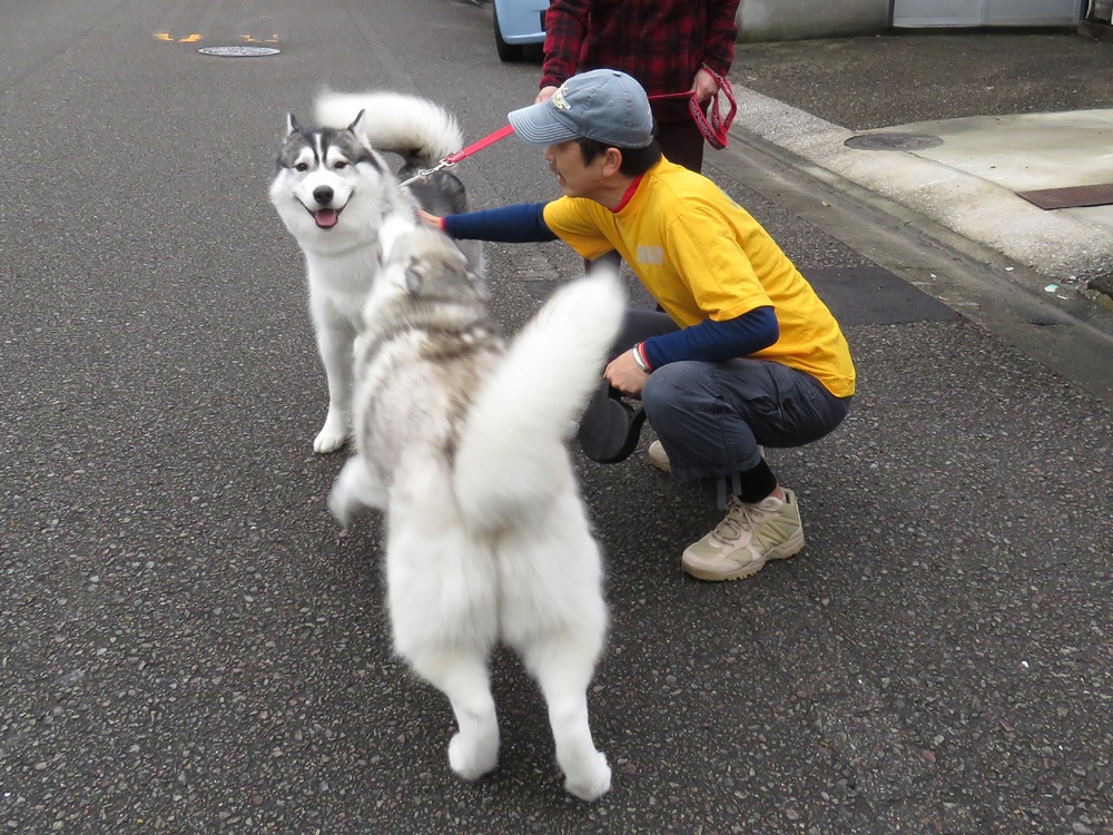 もはや恒例行事に (^o^)_c0049299_22173838.jpg