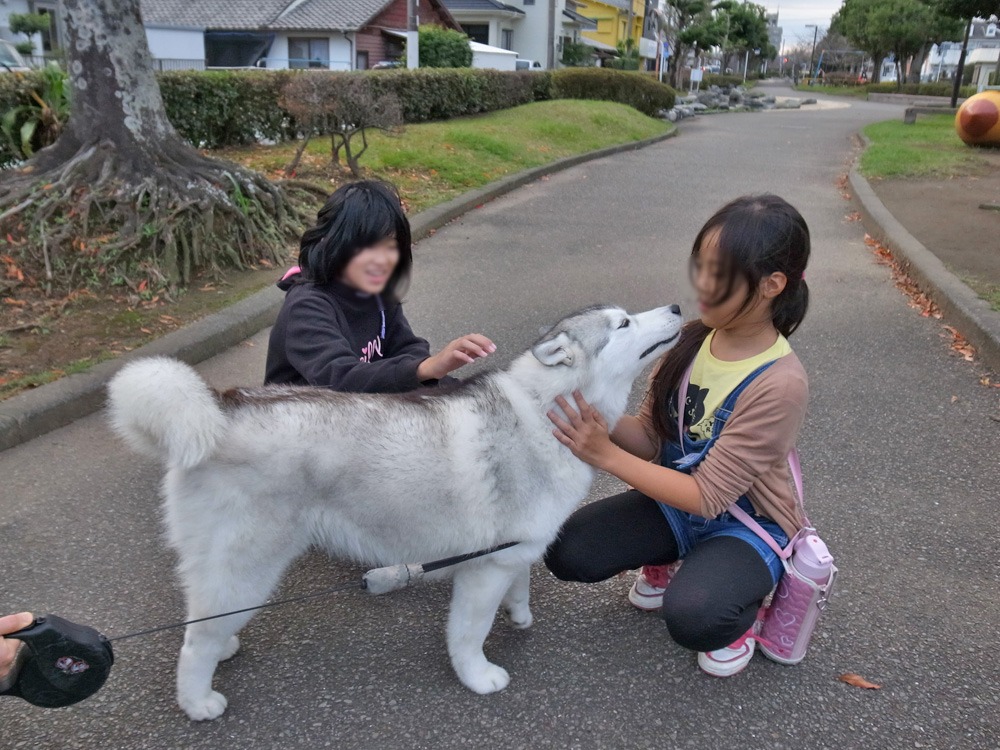 もはや恒例行事に (^o^)_c0049299_2239649.jpg
