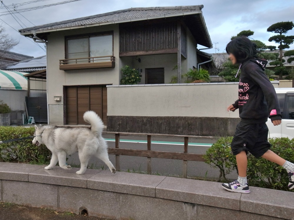 もはや恒例行事に (^o^)_c0049299_2240754.jpg