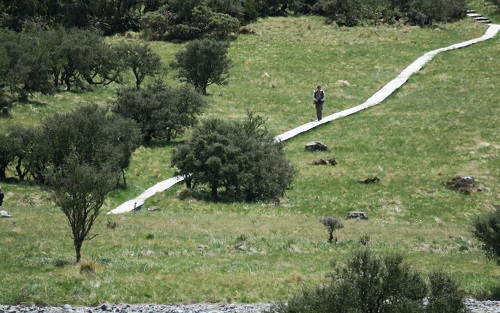 a0158702_15581685.jpg