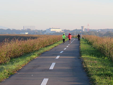 d0046702_4394585.jpg