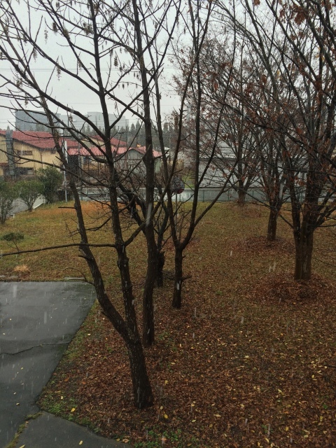 c0145608_09475314.jpeg