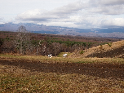 b0207912_21552111.jpg