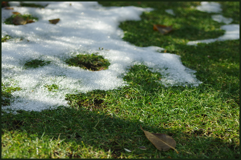 雪が融けちゃう～_b0019313_16595632.jpg