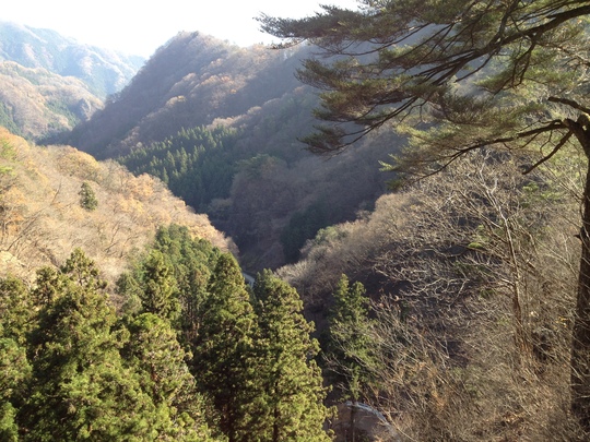 ノルデックウォークで南牧村をハイク_b0207413_16365445.jpg