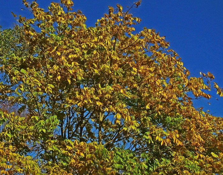 c0190915_1983512.jpg