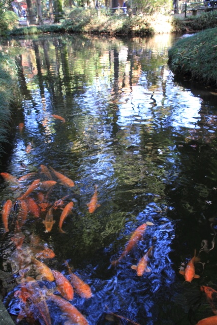 平林寺の紅葉　2_d0026817_13393433.jpg