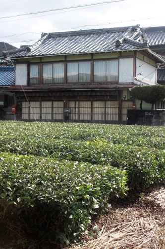 はずれ日?_b0220318_08150224.jpg