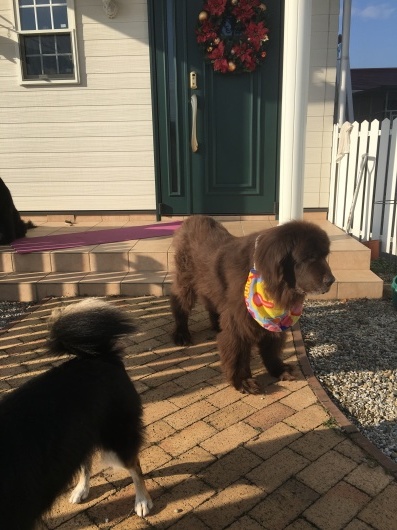 f0077931_17080219.jpeg