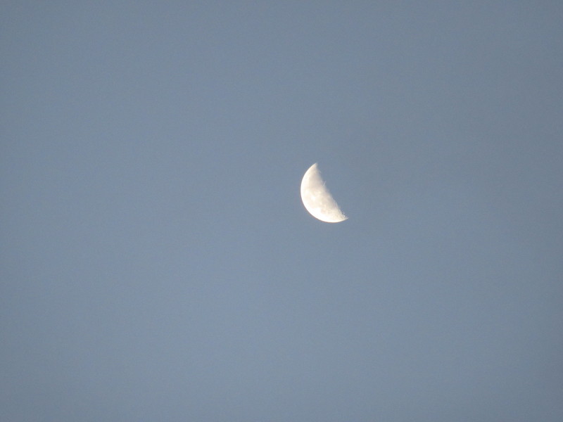 b0014732_8121096.jpg