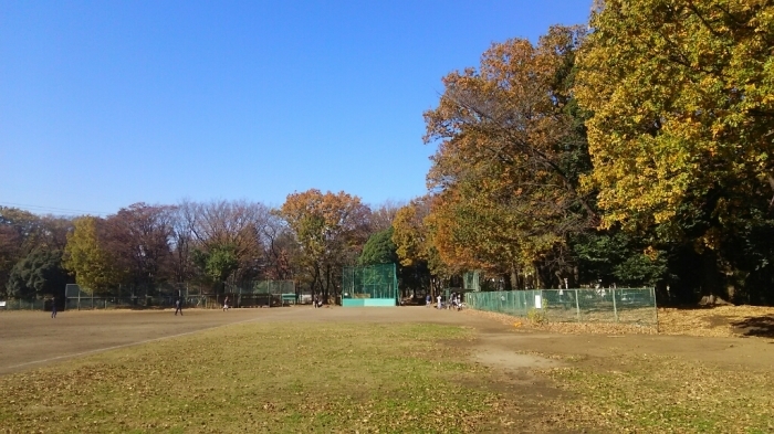 滝山公園(東久留米市)(12月4日)_e0213636_18002192.jpg