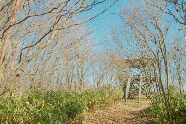 らかん高原ハイキング**in 羅漢山_b0197639_16351583.jpg