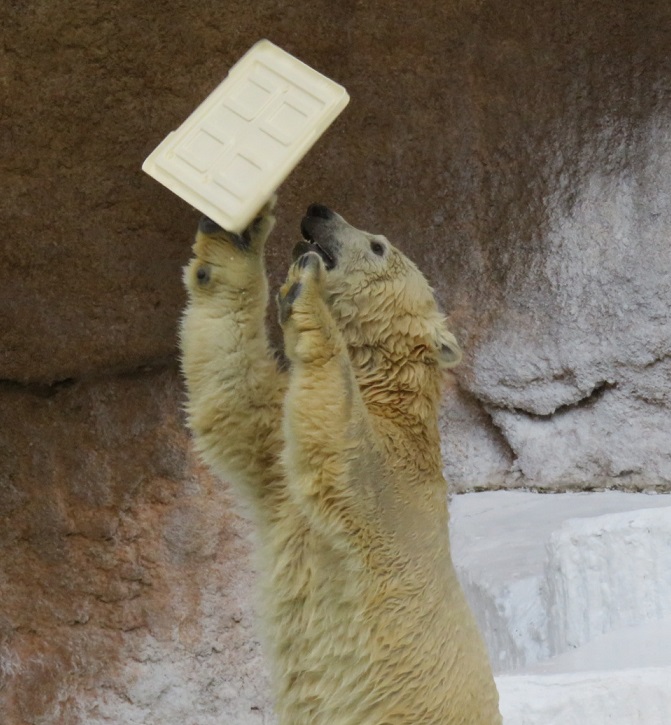 f0002743_15501641.jpg
