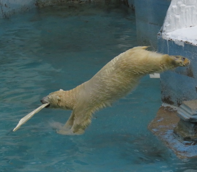 f0002743_15513872.jpg