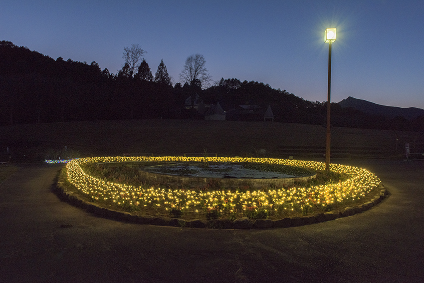 茨城県フラワーパーク_f0077849_22023098.jpg