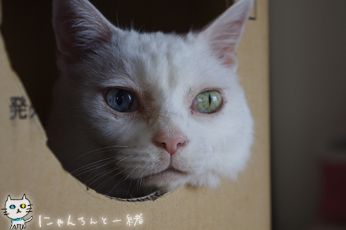男前さん_e0031853_21134468.jpg