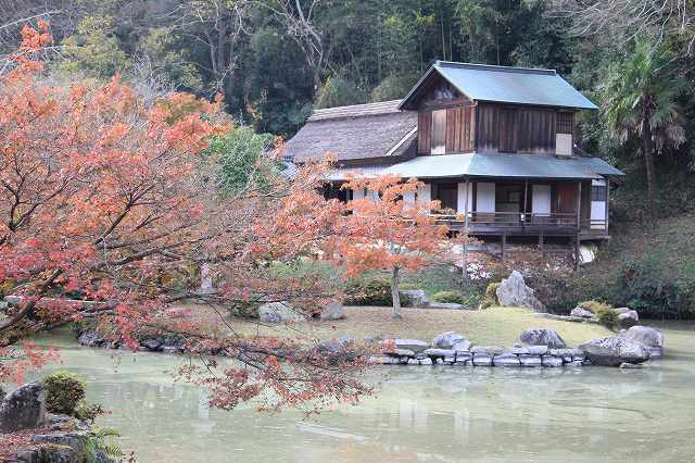 １１月２２日　近水園の紅葉_f0340155_19114479.jpg