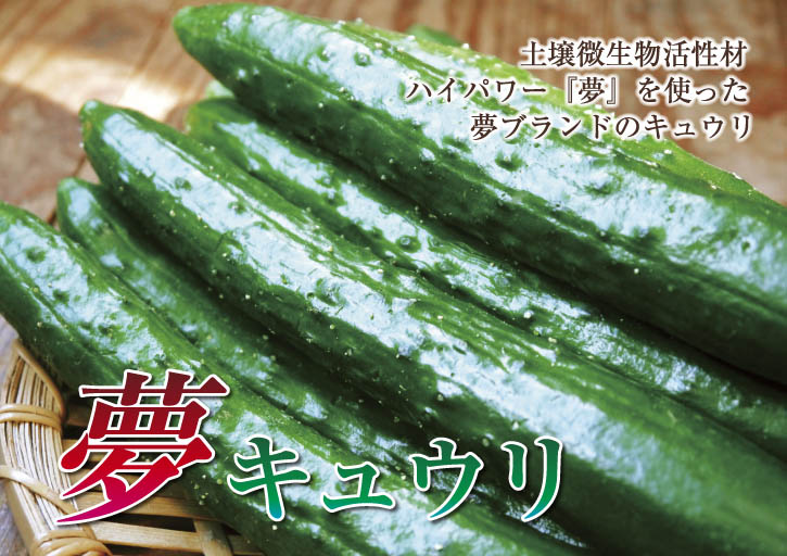 新鮮野菜スティックにも大好評!朝採りキュウリ、セロリ、ニンジン販売中!!_a0254656_16382370.jpg