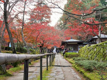 リベンジ金剛輪寺　今度こそ金剛輪寺_e0044657_22341353.jpg