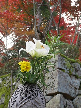 リベンジ金剛輪寺　今度こそ金剛輪寺_e0044657_22353240.jpg