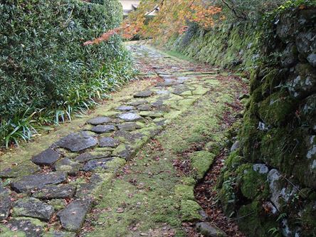 リベンジ金剛輪寺　今度こそ金剛輪寺_e0044657_2238121.jpg