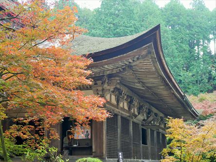 リベンジ金剛輪寺　今度こそ金剛輪寺_e0044657_22425328.jpg