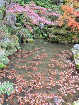 リベンジ金剛輪寺　今度こそ金剛輪寺_e0044657_22505646.jpg