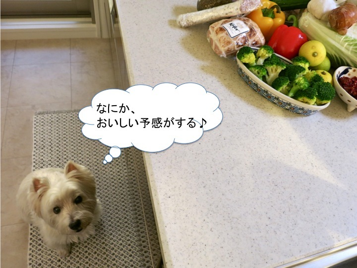 明日はランチパーティー_c0260460_09422521.jpg