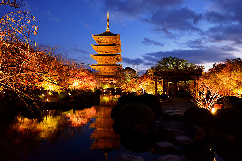 東寺 紅葉ライトアップ ちょっとそこまで